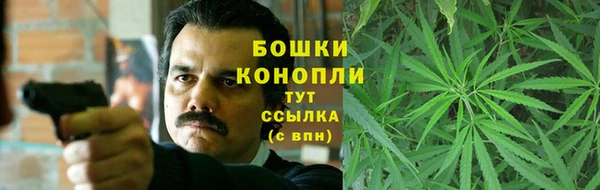 ECSTASY Гусь-Хрустальный