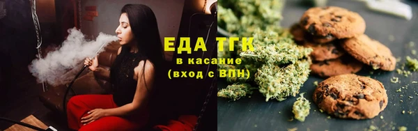 ECSTASY Гусь-Хрустальный