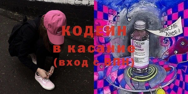 таблы Гусев