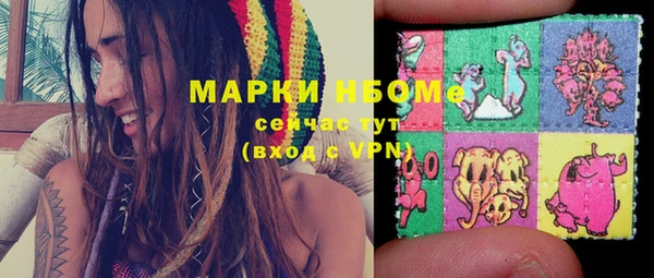 ECSTASY Гусь-Хрустальный