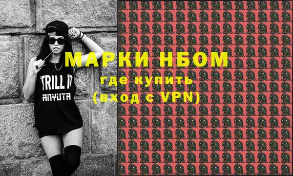 ECSTASY Гусь-Хрустальный