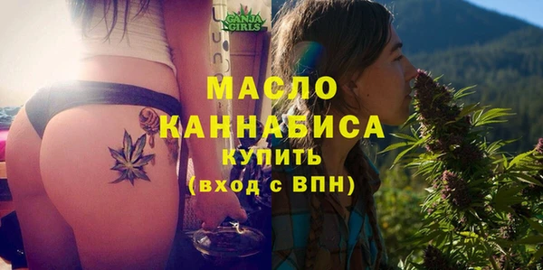 ECSTASY Гусь-Хрустальный