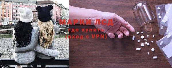 таблы Гусев